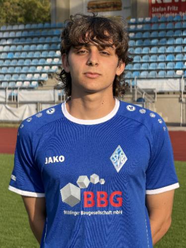Ioannis Rafail Ziogos