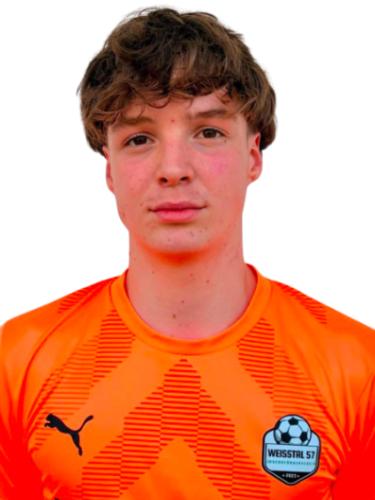 Joscha Sauerwald