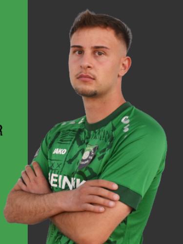 Nico Baumgärtner