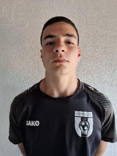 Nikola Pavicar