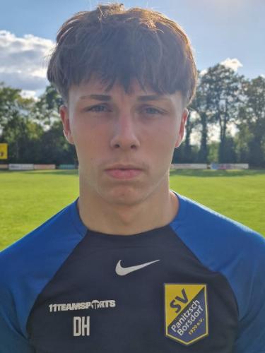 Dominik Hanzig