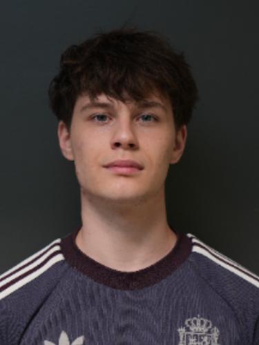 Wladimir Wiedemann