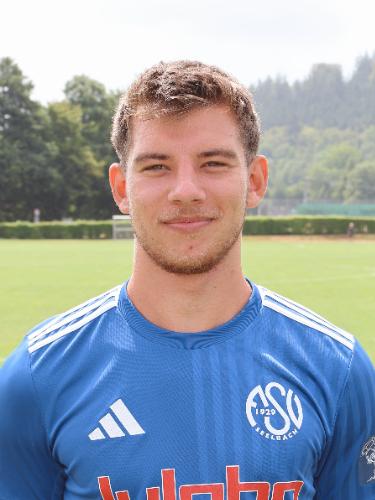 Dennis Strel