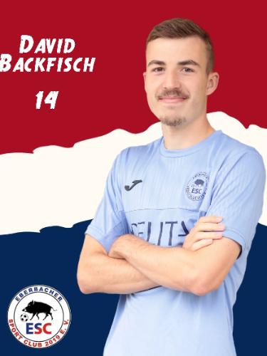 David Backfisch