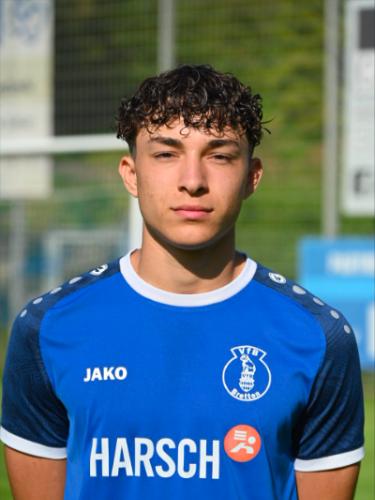 Levin Icöz