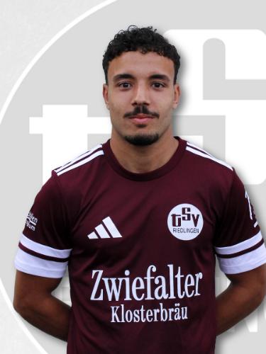 Adel Mehidi