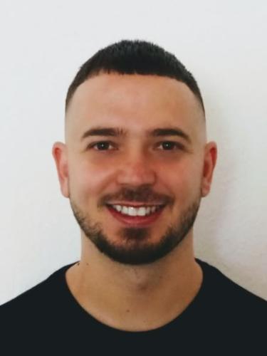 Sergiu Stana
