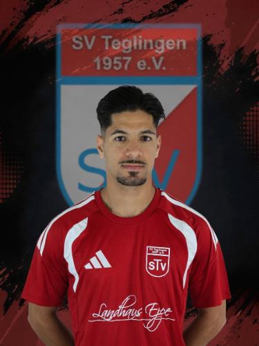 Moein Mohammadi