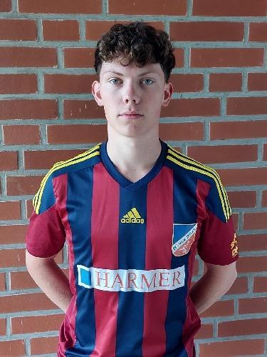 Theo Schulte