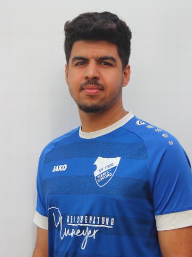 Reda Es-Safy