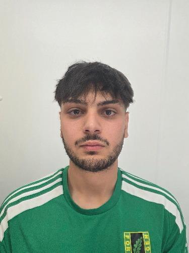 Alessio Vitale