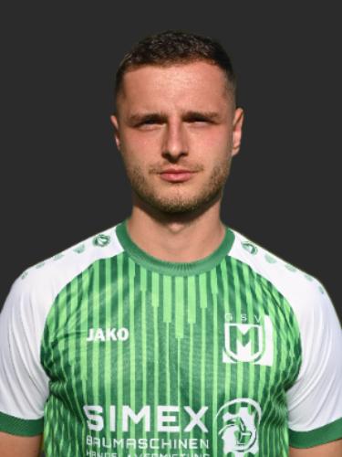 Mirza Vila