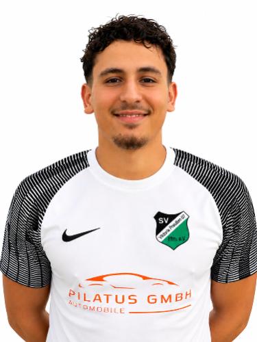 Ilias Dini