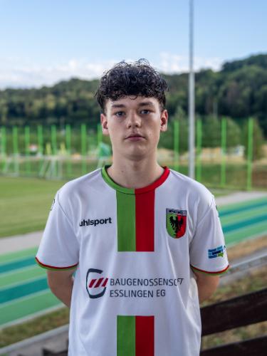 Denis Komnik