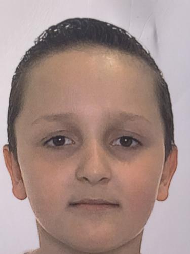 Ljubisa Demirovic