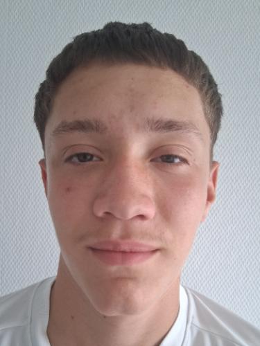 Paul Steiner