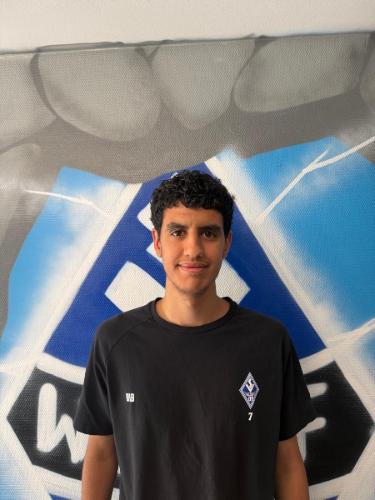 Mohamed El Alaoui