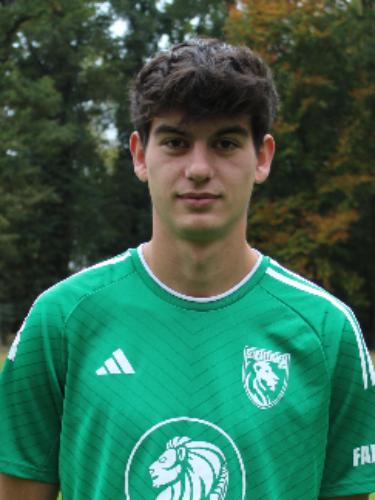 Dario Rihtar