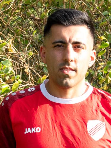 Mesut Tepedelen