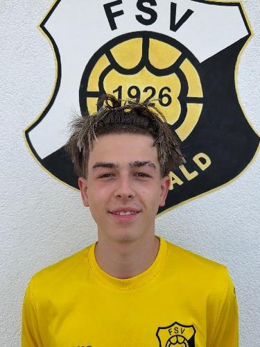Tamino Roy