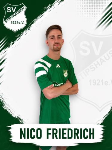 Nico Friedrich