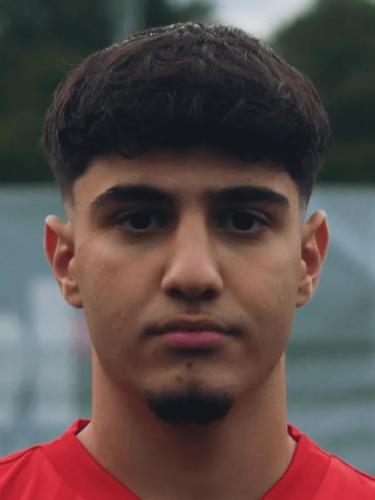 Hamza Lutvi