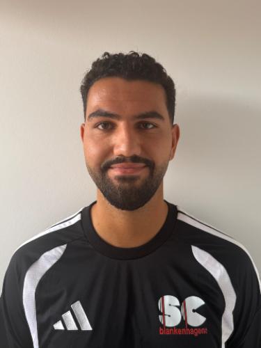 Johannes Demir