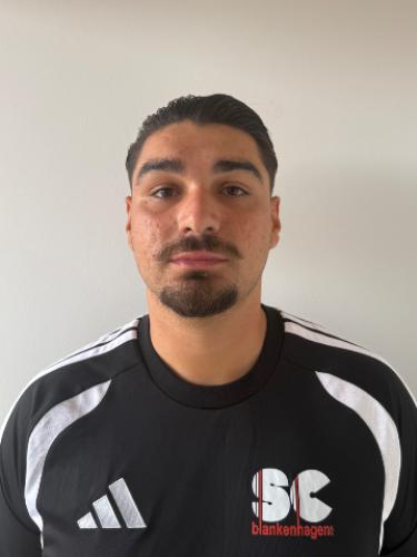 Boran Gül