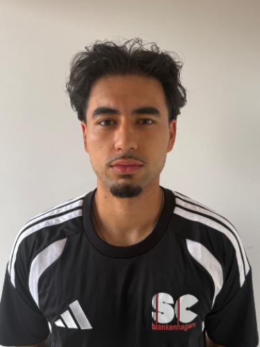 Amirhossein Rezai