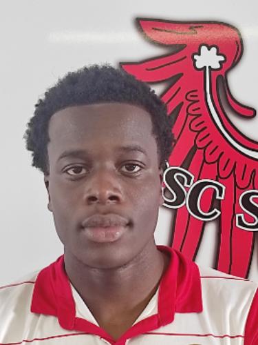 Owen Orobosa Osaghae