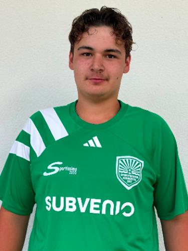 Nico Garling