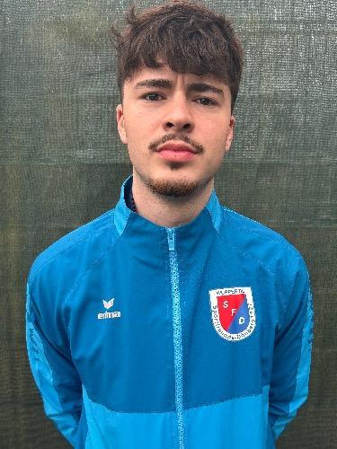 Ignacio Nedic Llorente