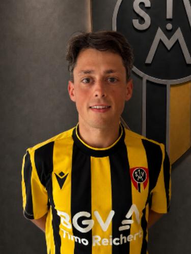 Luis Heitz
