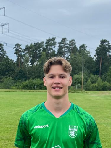 Niklas Gerwin