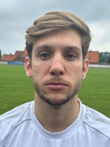 Gabriel Meneghini Perin