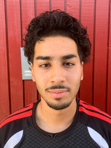 Mohammed Romin Ahmadi