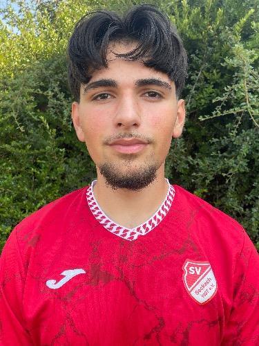 Samed Demir