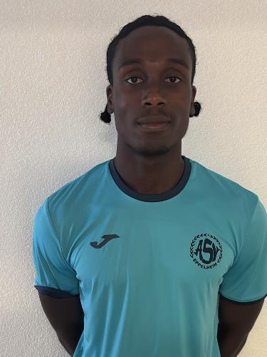 Desmond Ikenna Okoye Ogbebo