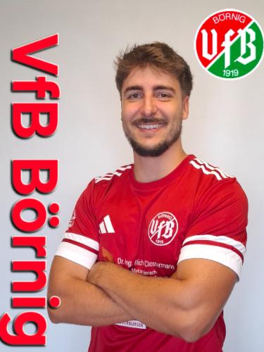 Nico Schulz