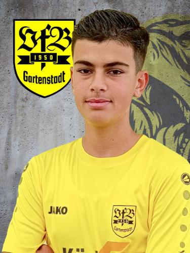 Emir Dengiz
