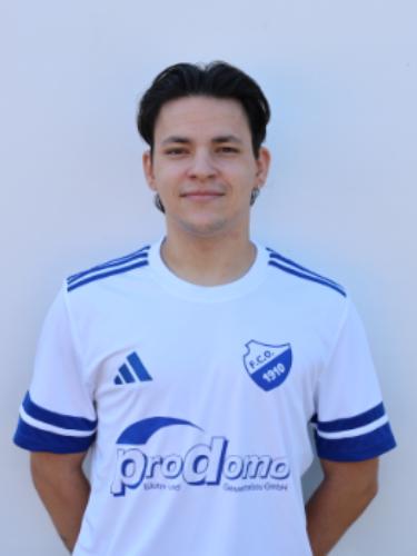 Julian Fellhauer