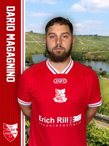 Dario Magagnino