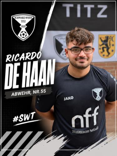 Ricardo de Haan