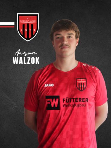 Aaron Walzok