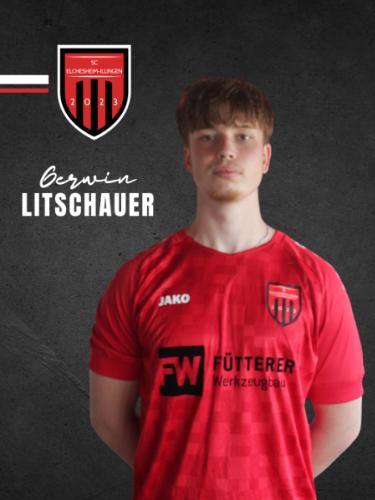 Gerwin Litschauer