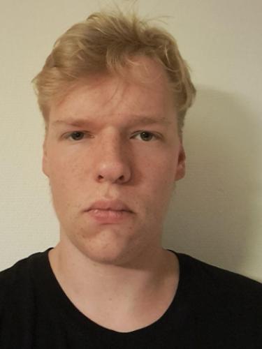 Matti Wachholz
