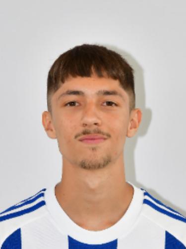 Luis Miguel Santos Mendes