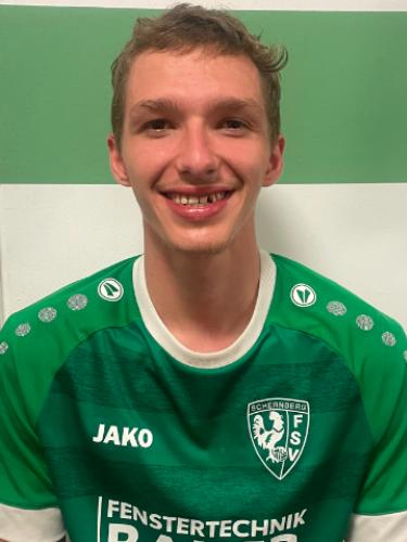 Nico Hartmann