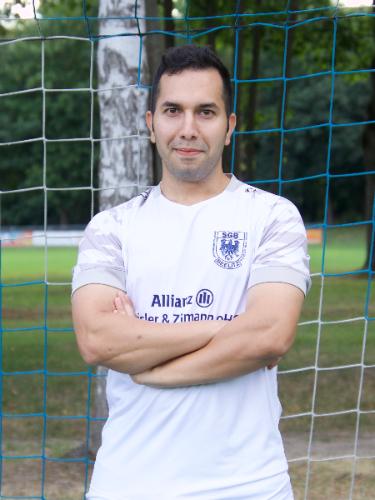 Ghanbari Boeini Alireza