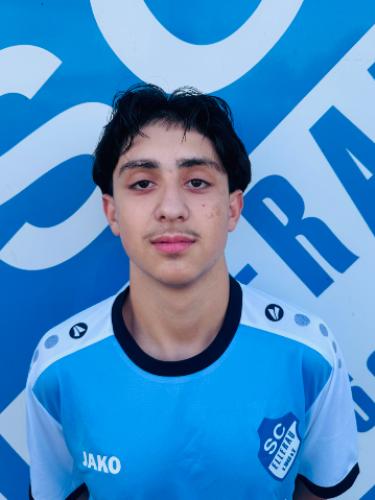 Sahel Ahmadi
